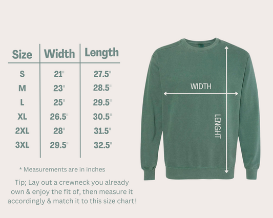 Protect the People Embroidered crewneck