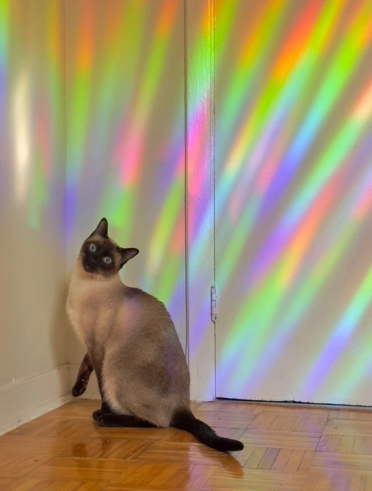 City of Starlight Suncatcher Decal