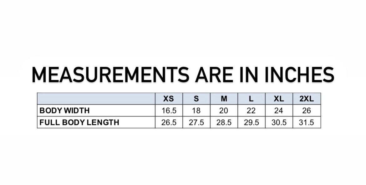 Property of Ruhn Danaan premium tee