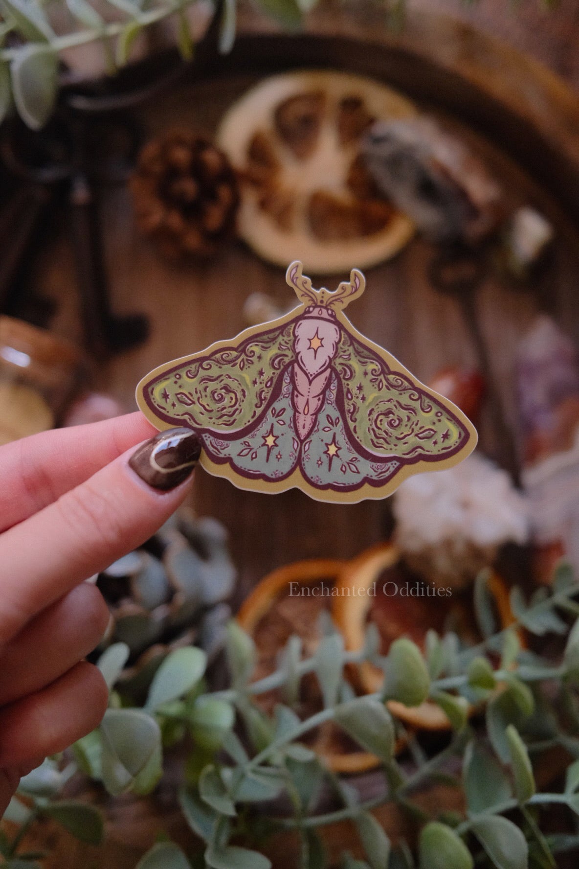Moss Moth sticker
