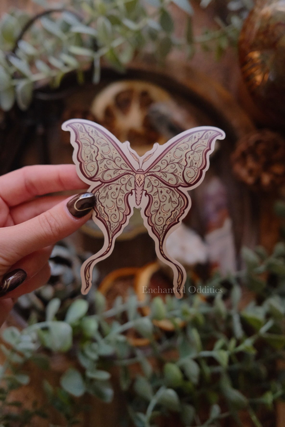 Luna Moth Magnet