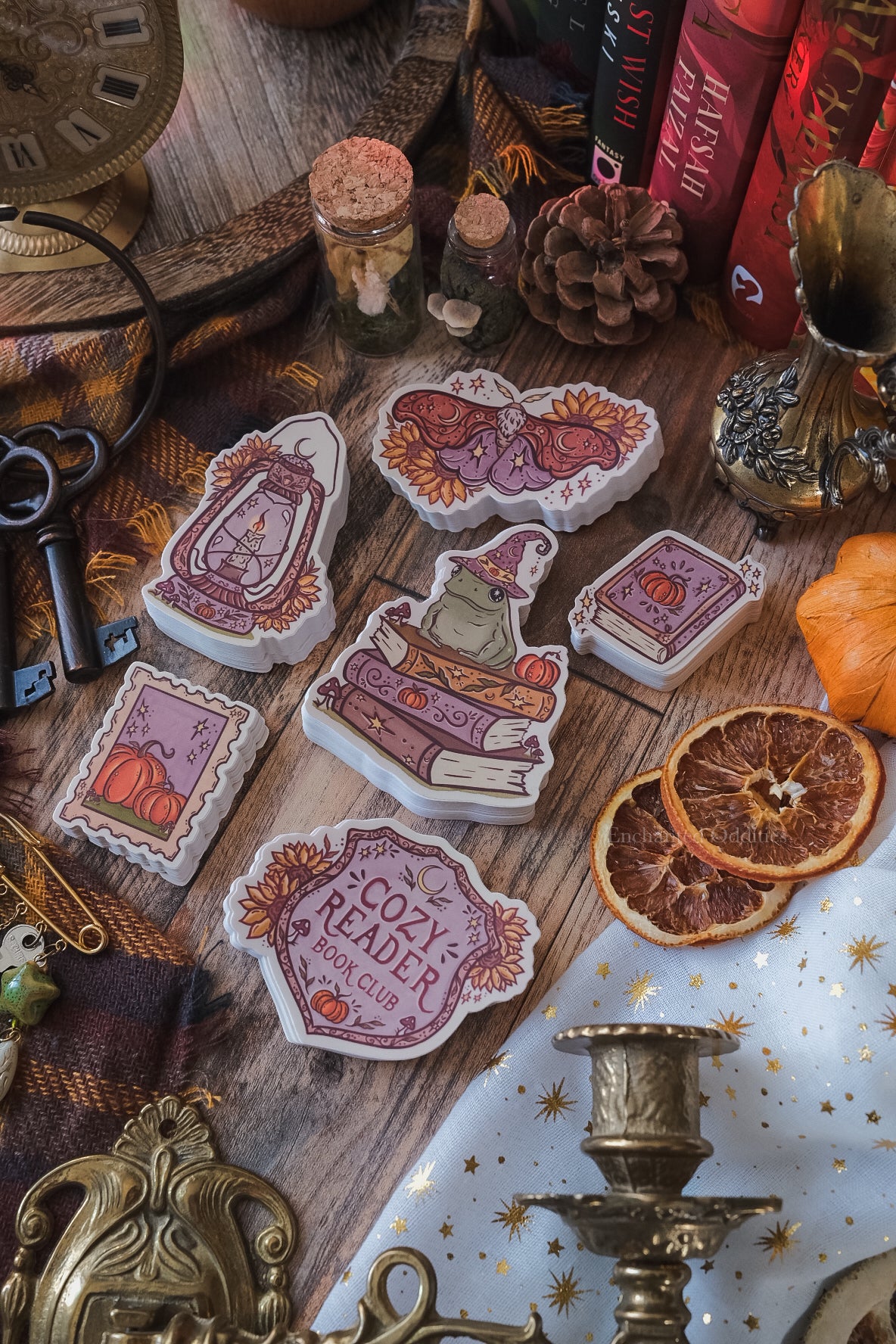 Cozy Reader Sticker Bundle