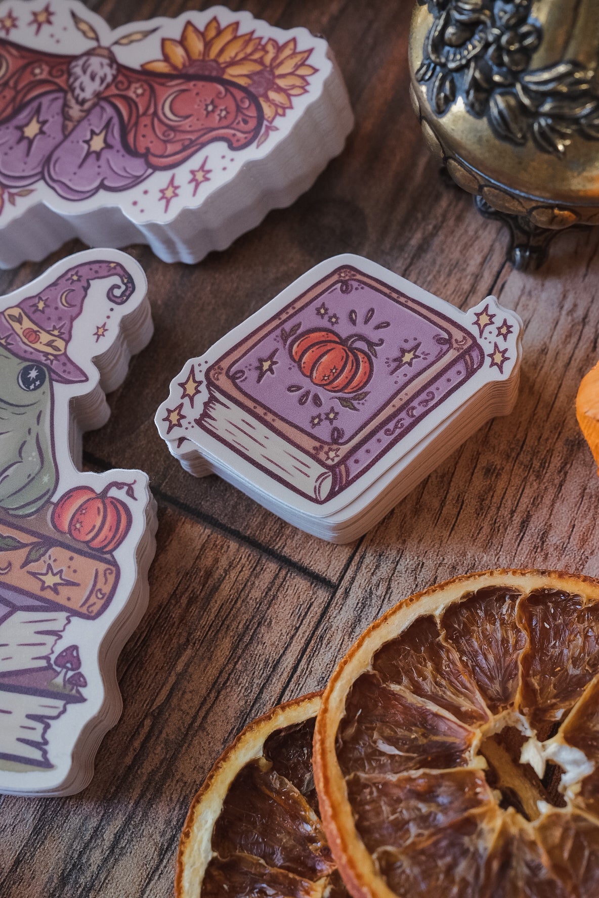 Cozy Reader Sticker Bundle