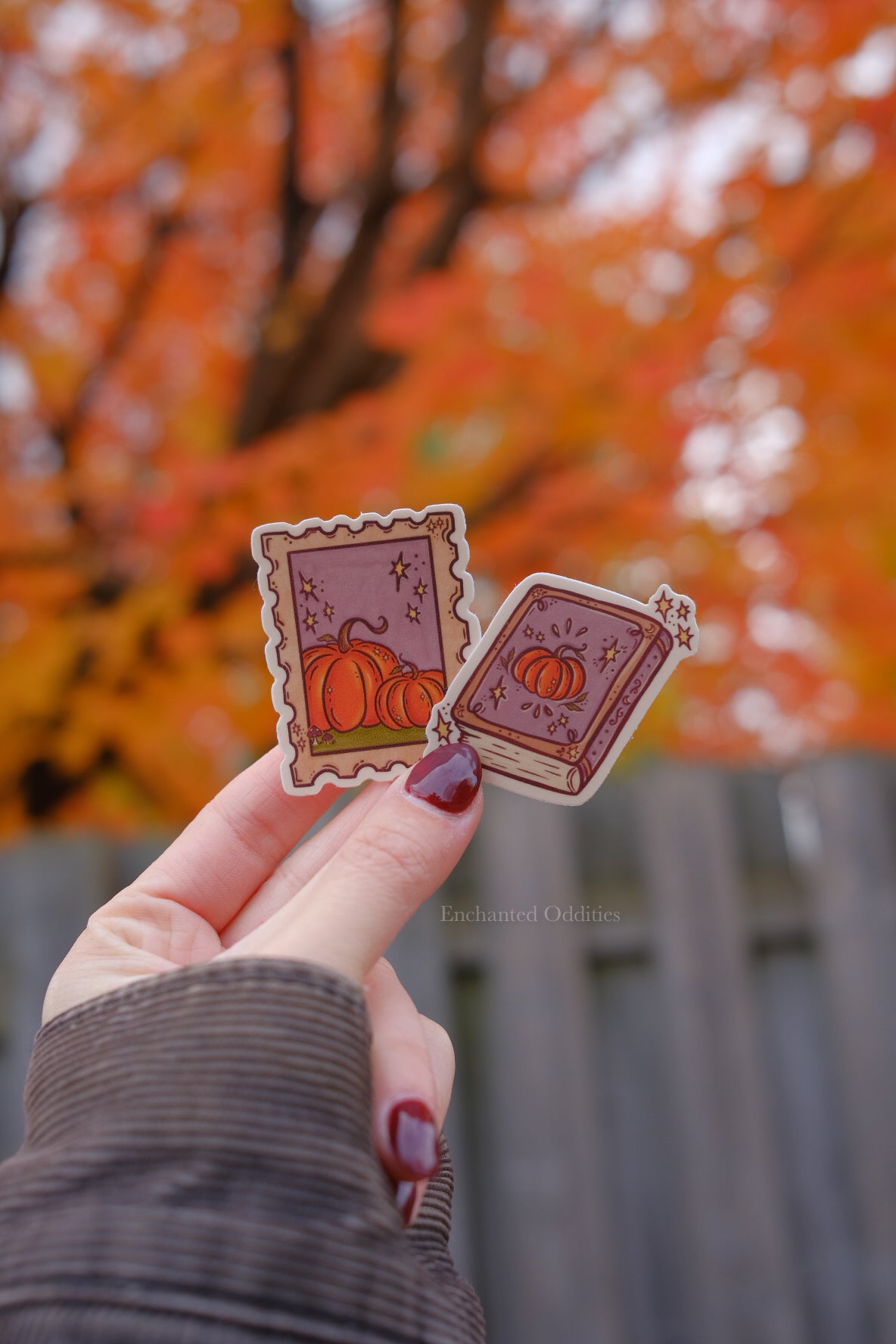 Cozy Reader Sticker Bundle