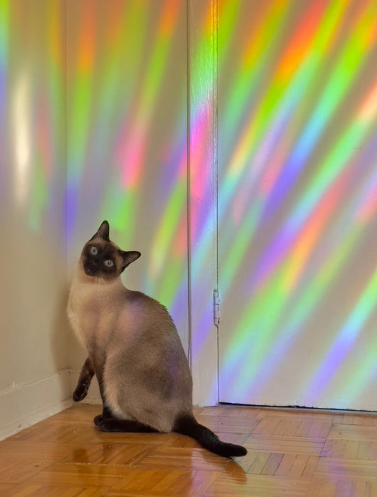 Folk of the Air Suncatcher Decal