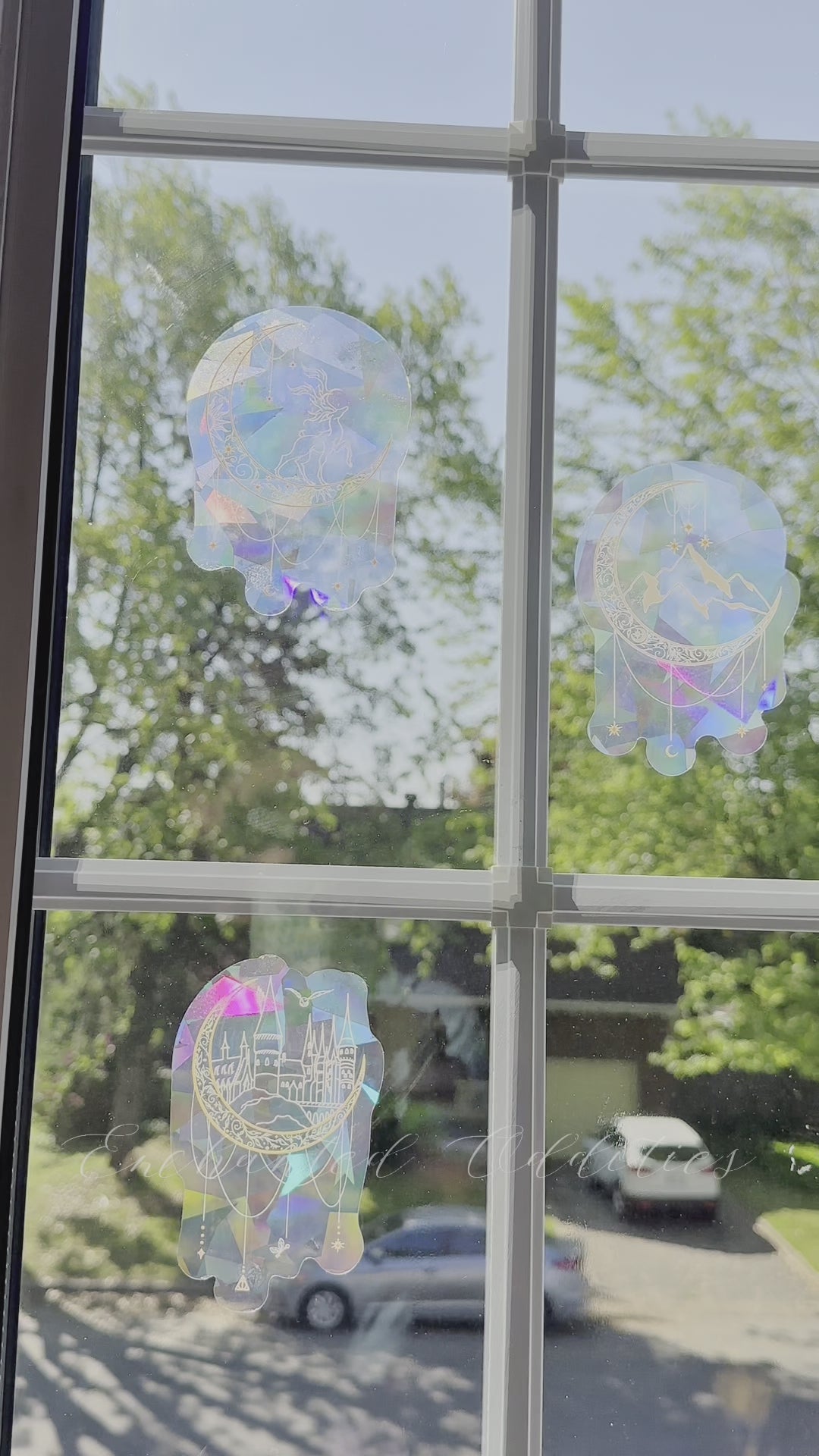Sacred Seeds Suncatcher Decal