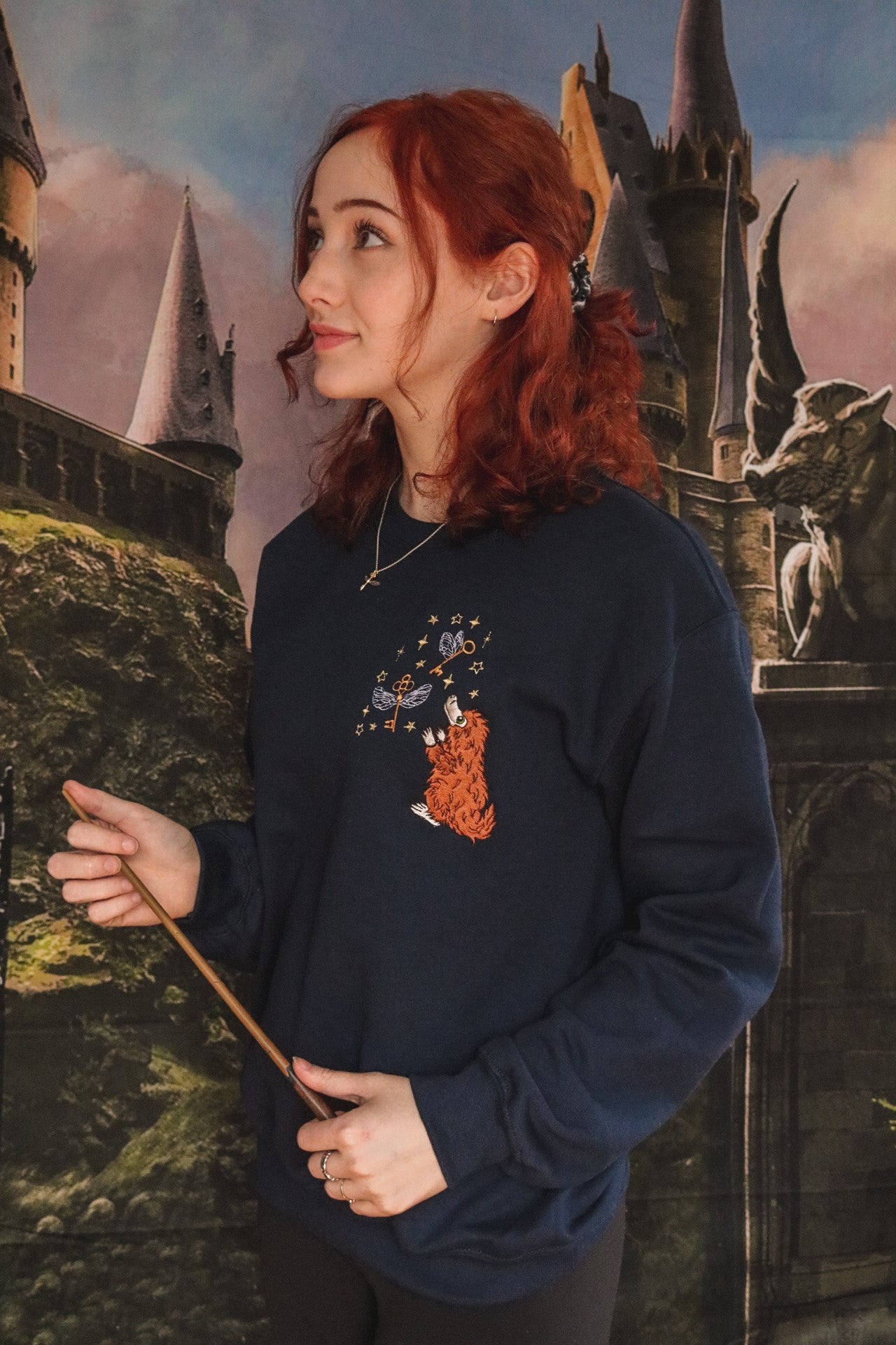 Pull ras du cou Attrape-moi