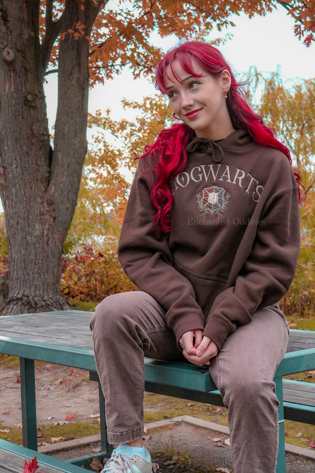 Wizardry School Pride Premium Hoodie