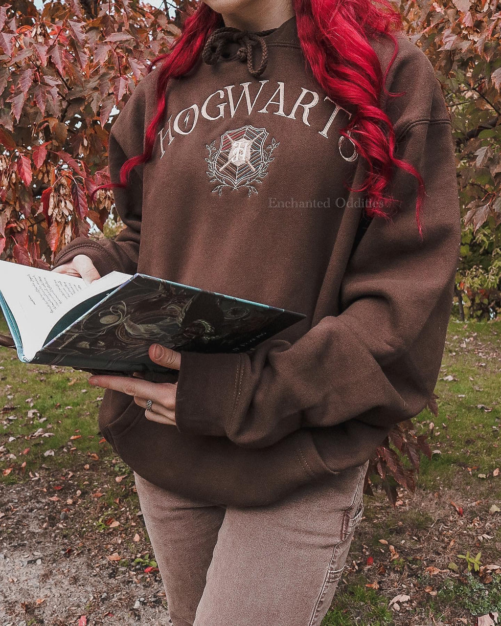 Wizardry School Pride Premium Hoodie